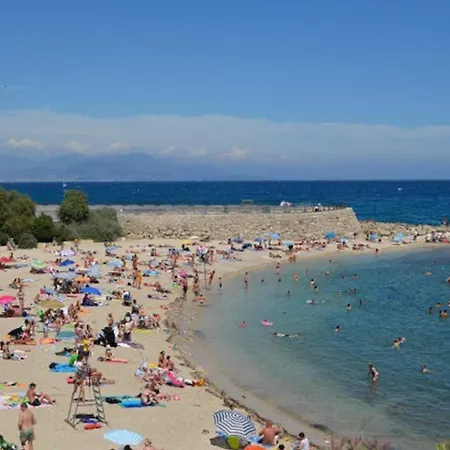 Dans Roi Soleil *